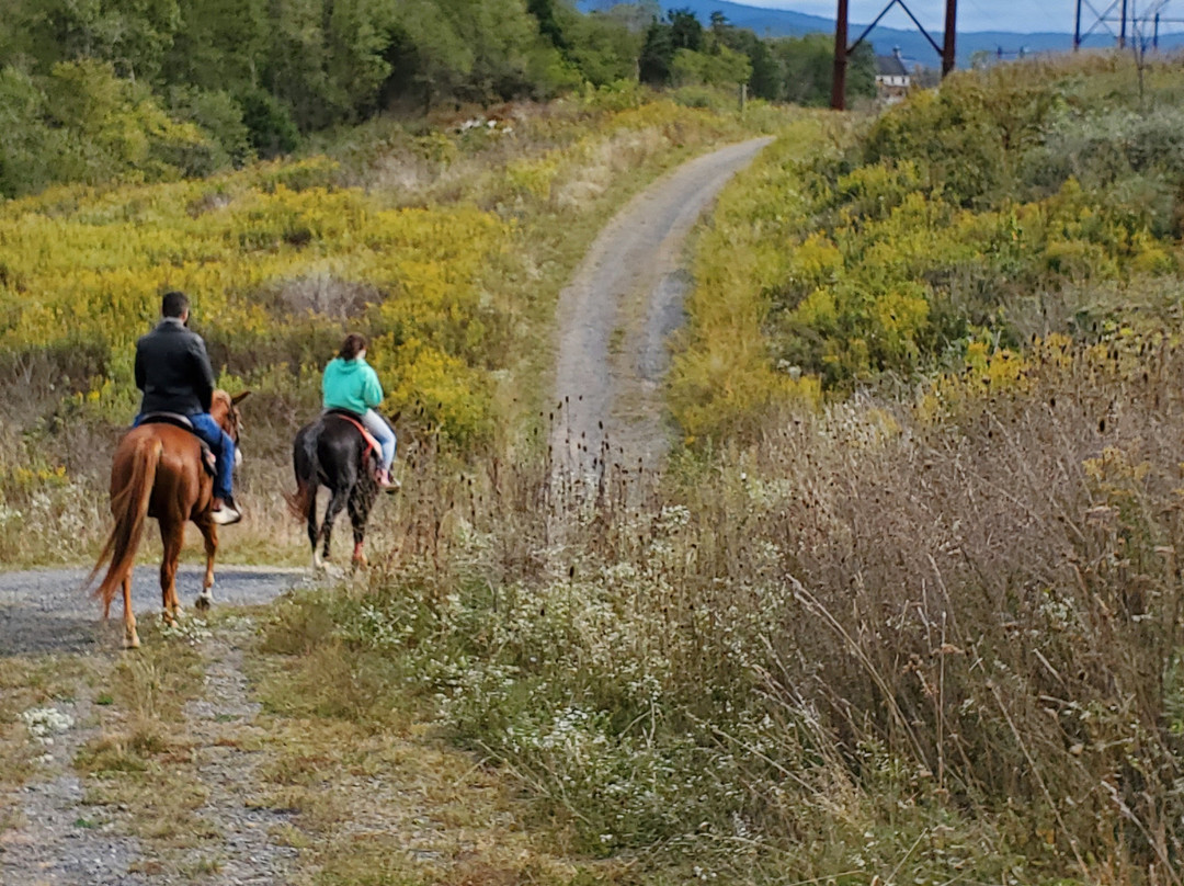 Double H Stables-弗兰特罗亚尔必去景点