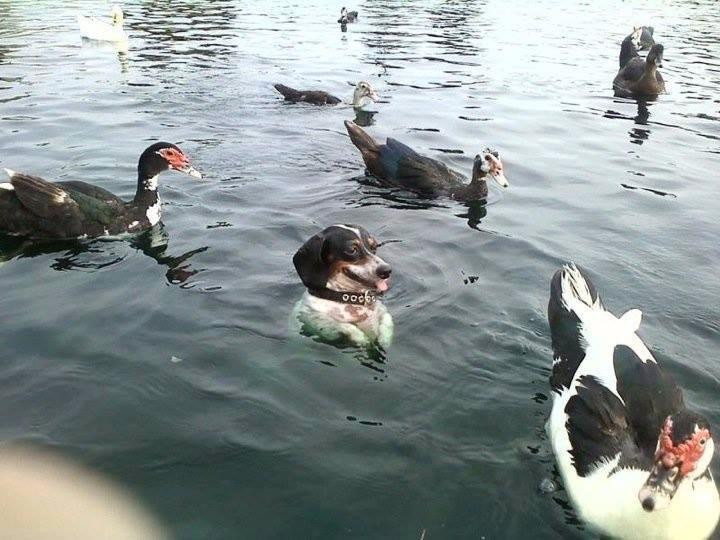 Windsor旅游景点-Suffolk Farmers' Market