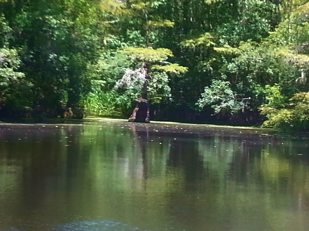 River Memories-Conway必去景点