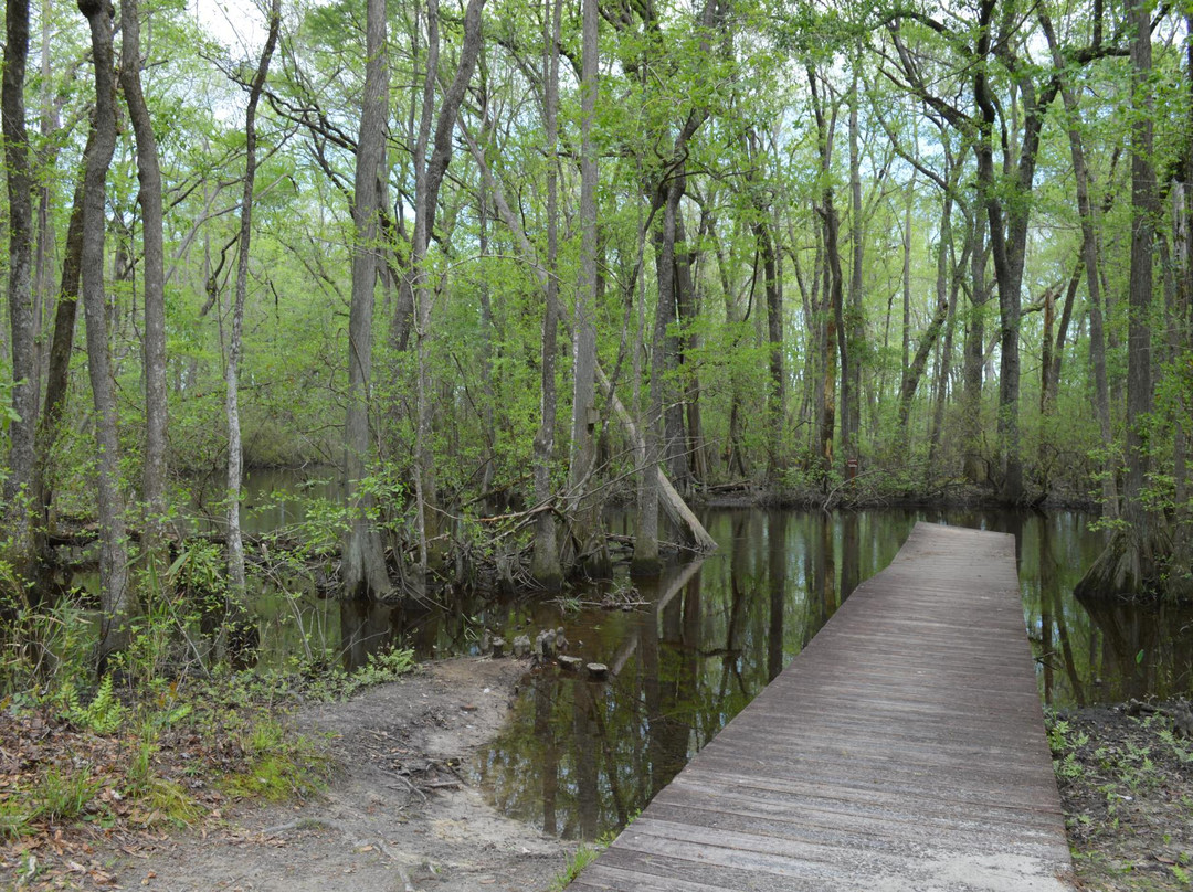 Aiken State Park景点图片