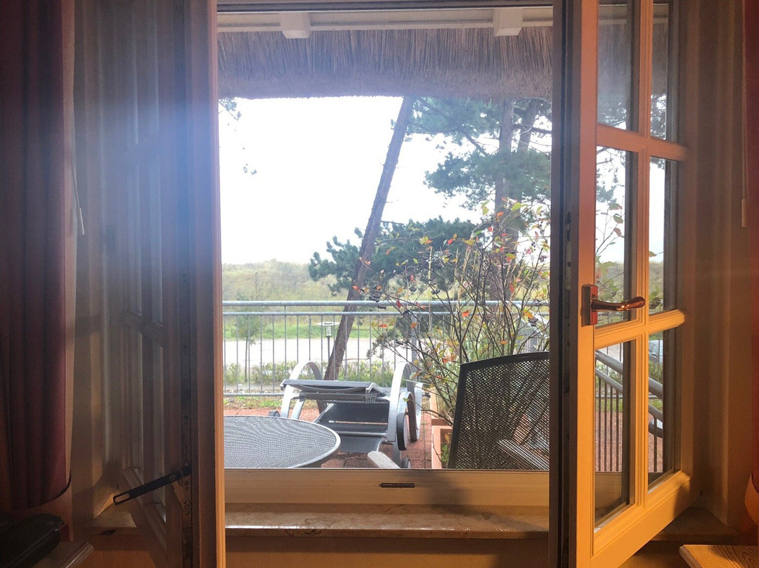 Der Fischlaender主图