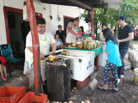 My Tours Vallarta-瓦拉塔港必去景点