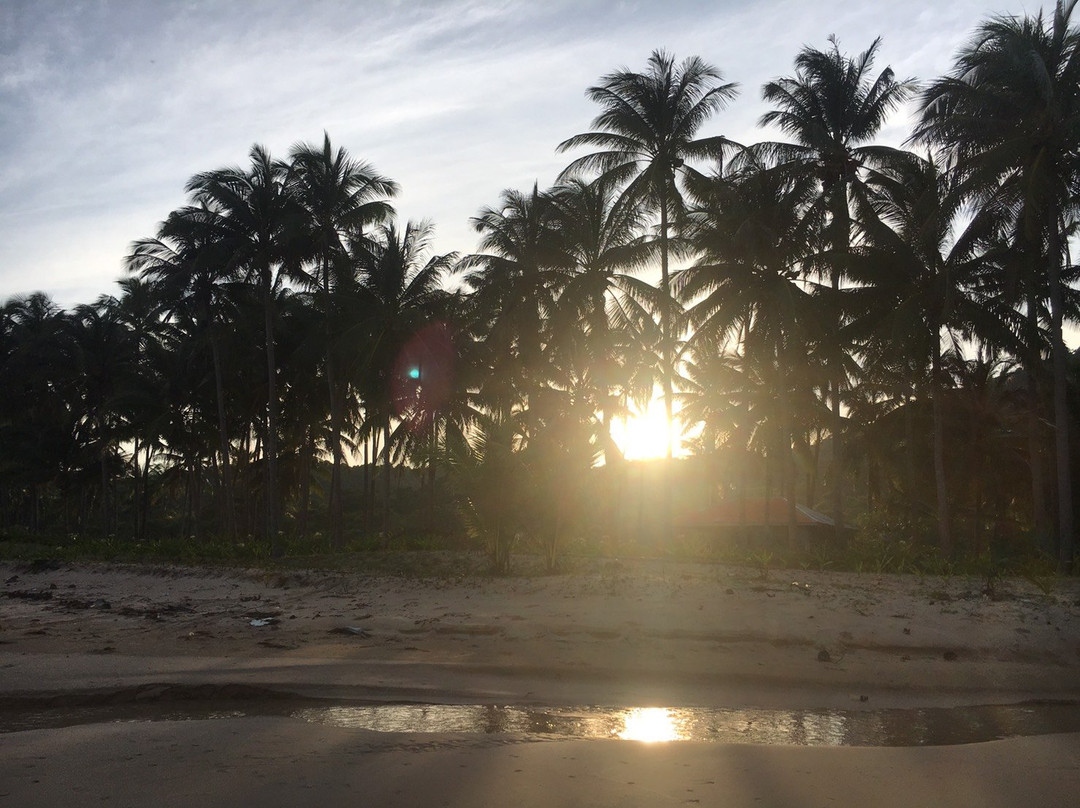Napsan Beach景点图片
