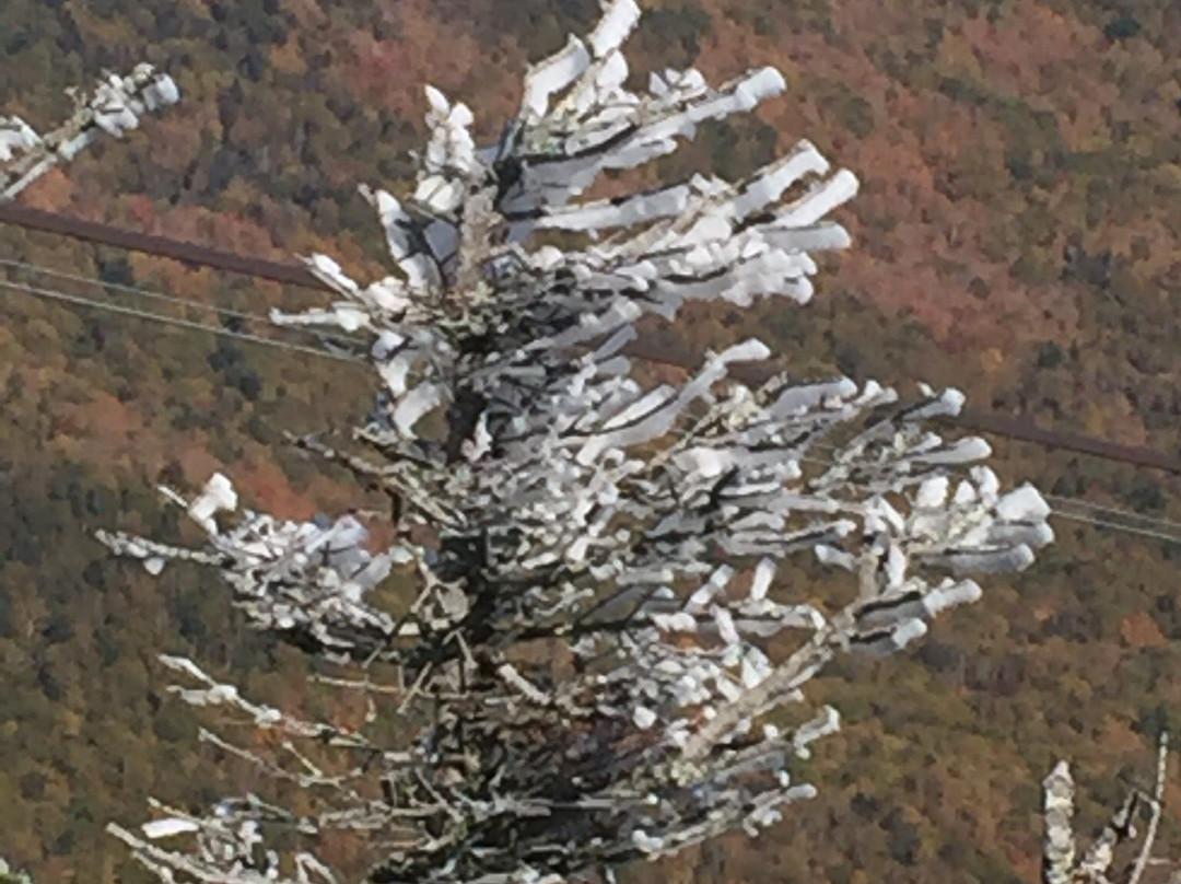 Jay Peak Tramway景点图片