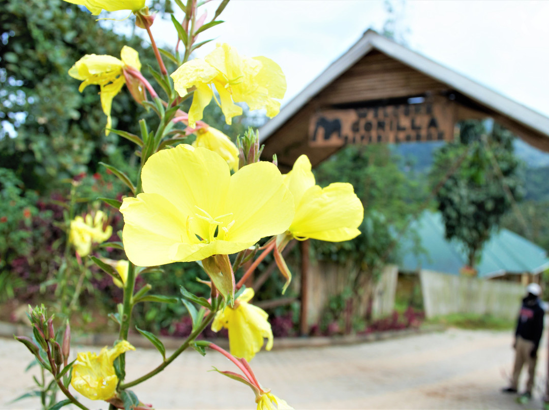 Gorilla Safari Lodge主图