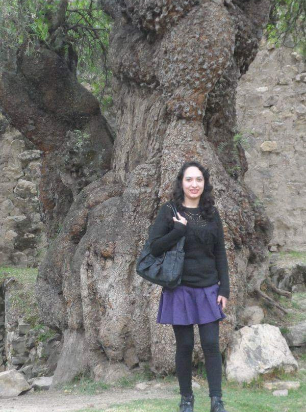 Huarivilca-万卡约必去景点