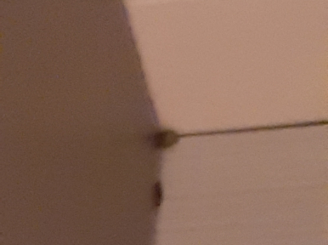 Best Western Toledo South Maumee主图