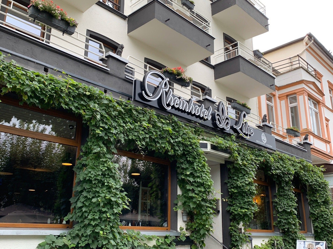 Rheinhotel Lilie主图
