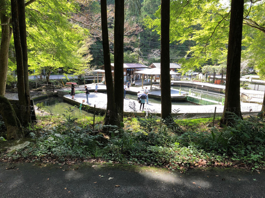 Shiga Prefecture Samegai Yosonjo-米原市必去景点