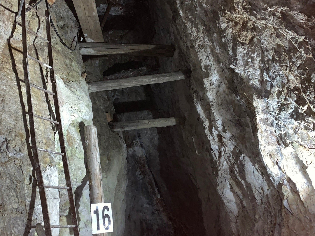 Creede Underground Mining Museum景点图片