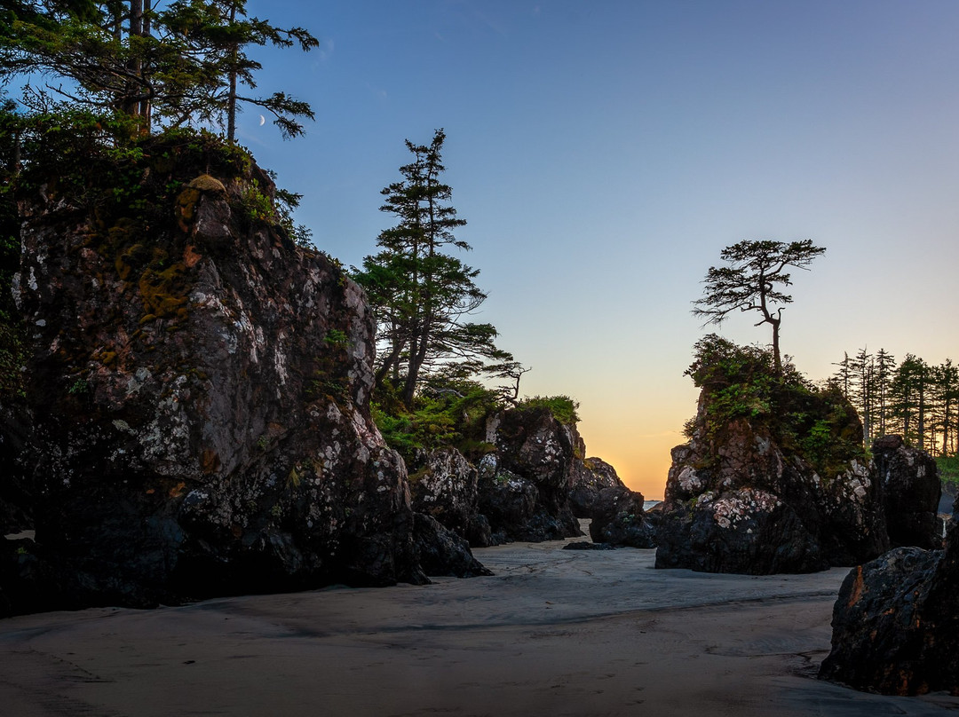 Cape Scott Provincial Park景点图片