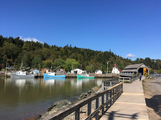 Roy's Tours-圣约翰必去景点