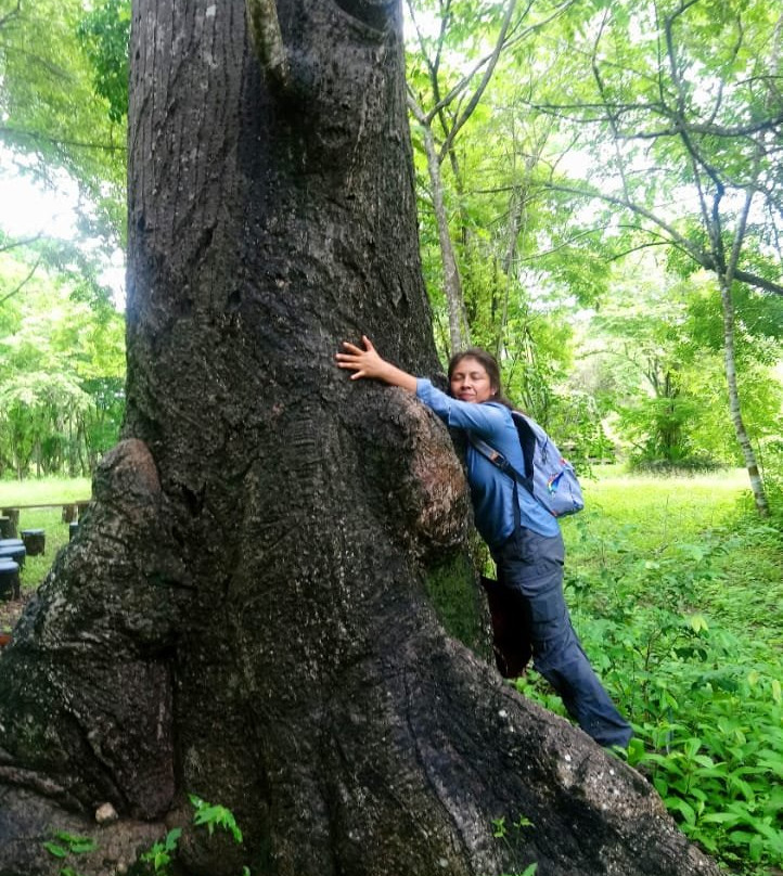 Reserva Toh-从莫雷洛斯港必去景点