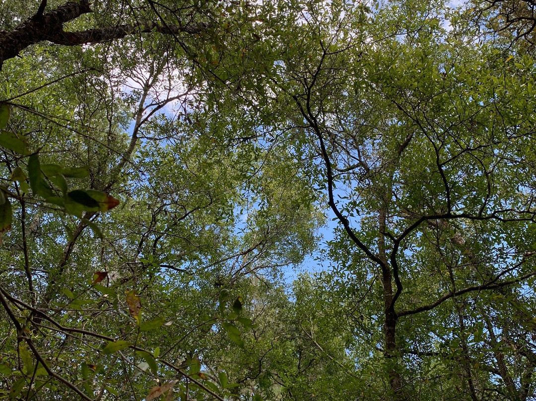 Whispering Pines Park-因弗内斯必去景点