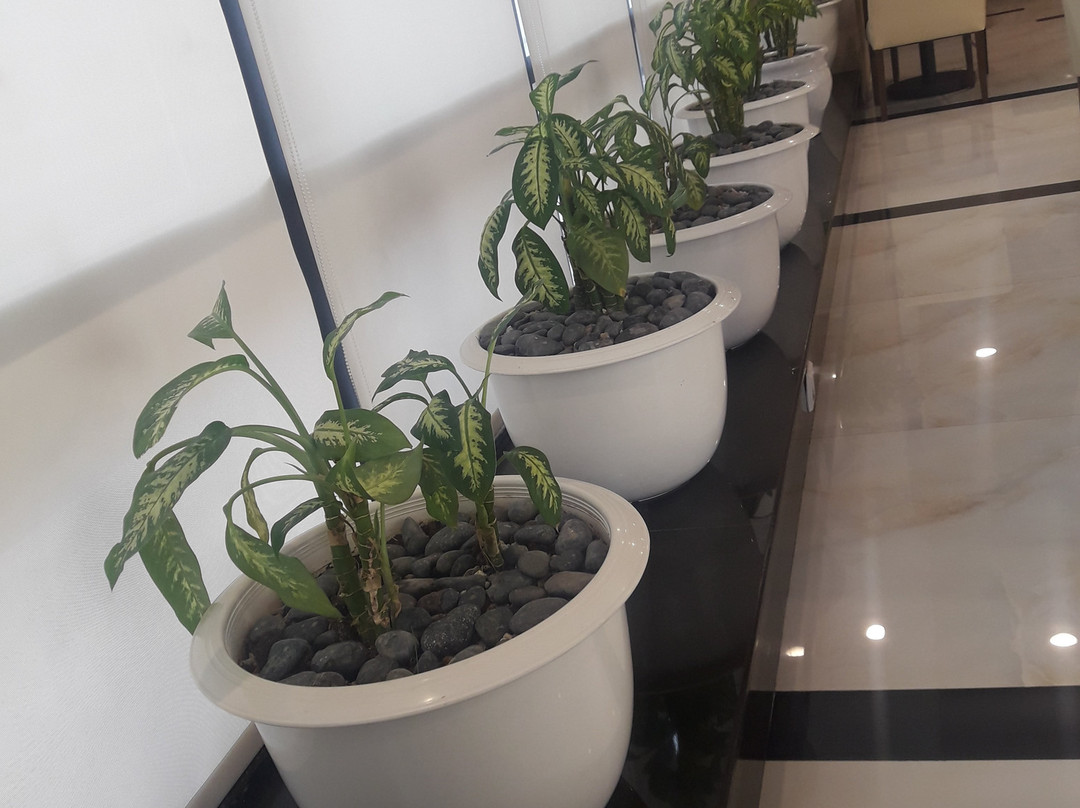 Avari Xpress Boutique Residence - Multan主图