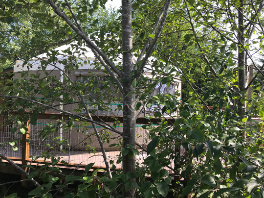 Soule Creek Lodge主图