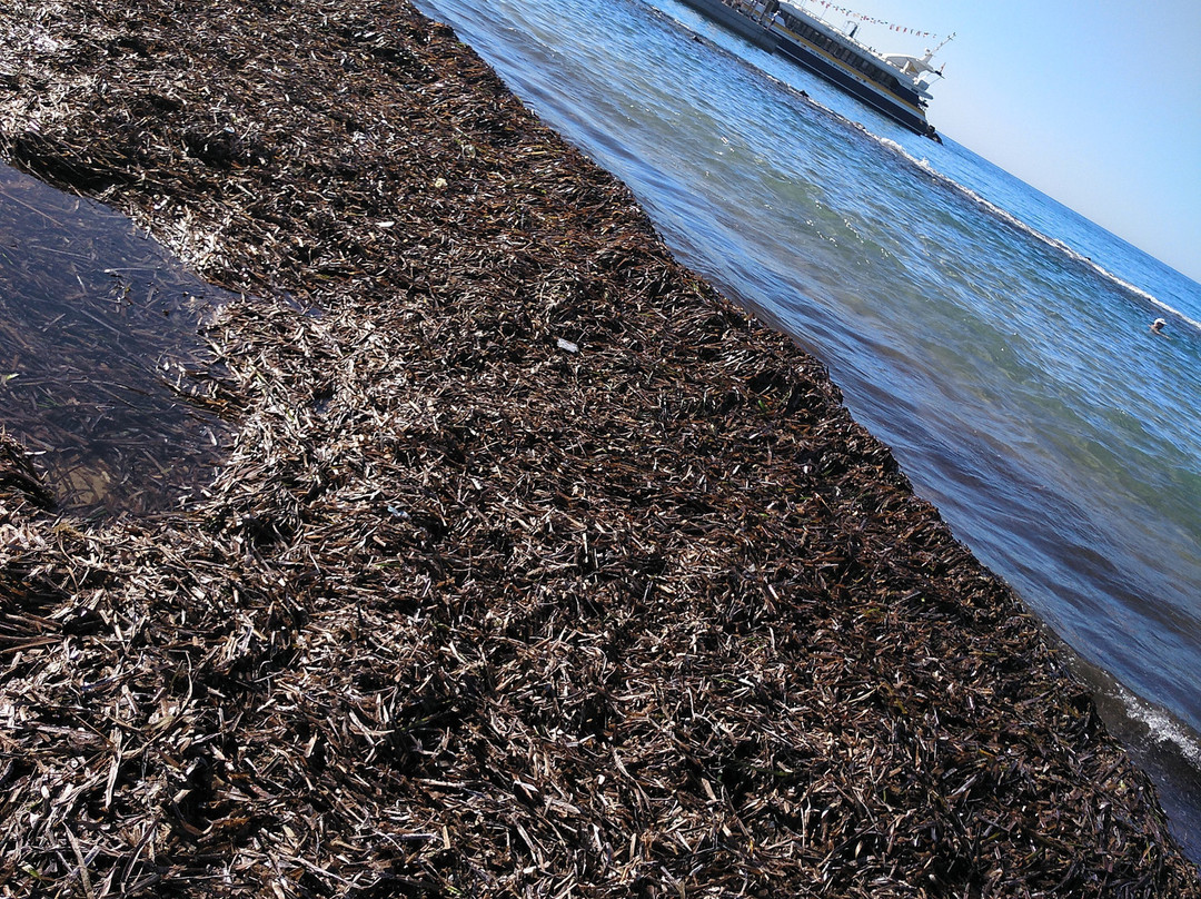 Platja de Ponent景点图片