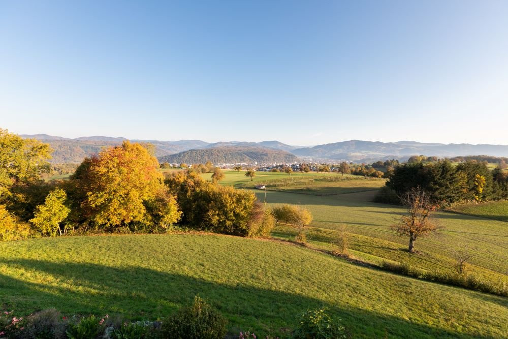 Hotel Restaurant Hohe Flum主图