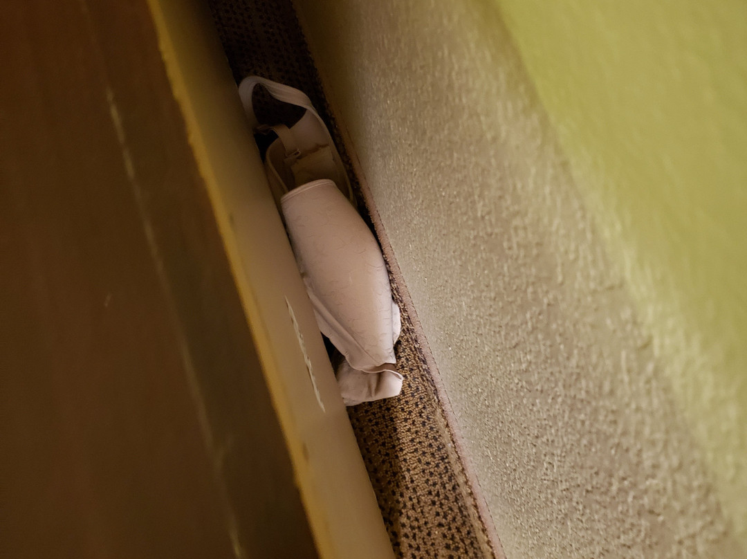 美国芝加哥长住酒店-莱尔主图