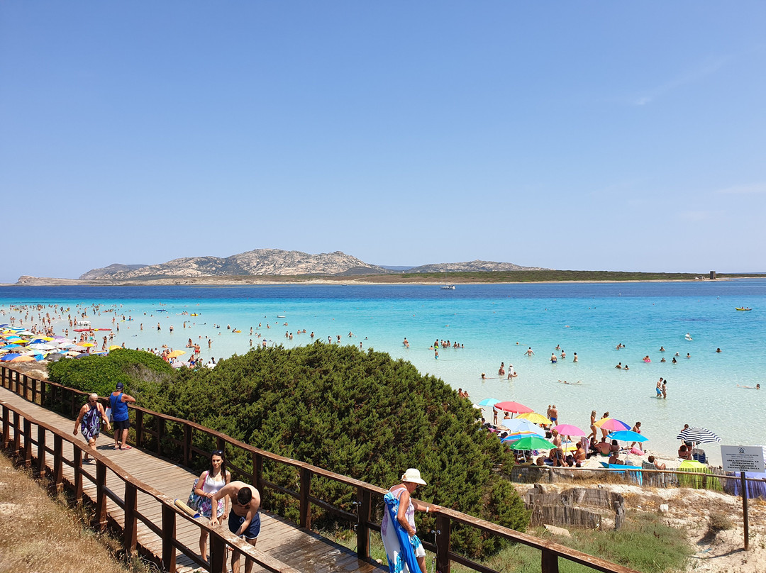 Cala Rosa Club Hotel主图