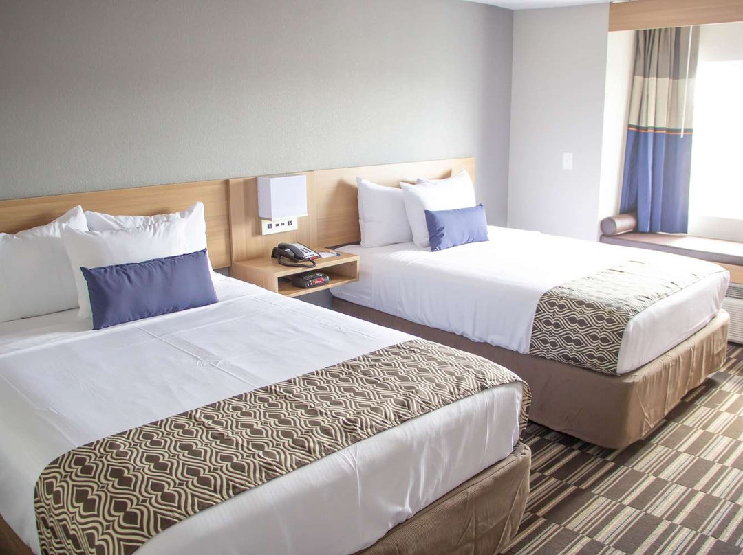 Microtel Inn & Suites by Wyndham Camp Lejeune/Jacksonville主图