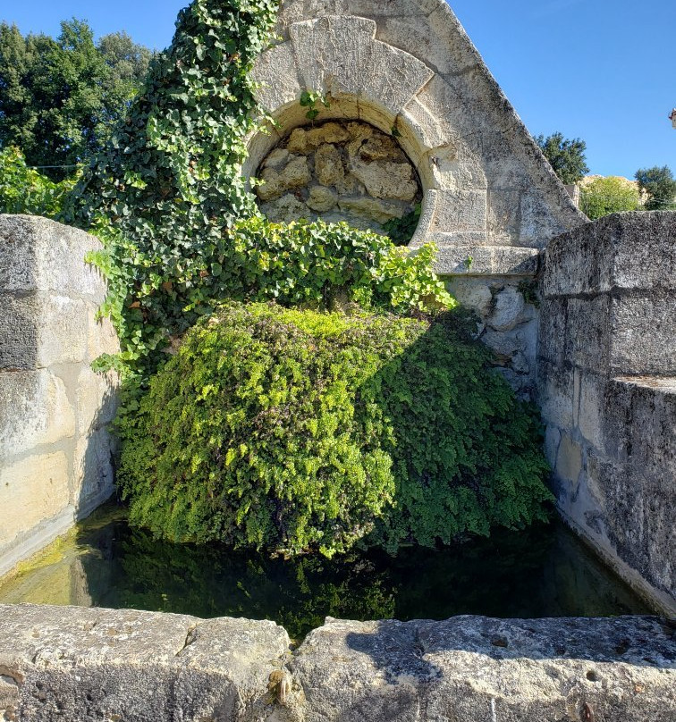 Chateau Fonplegade景点图片