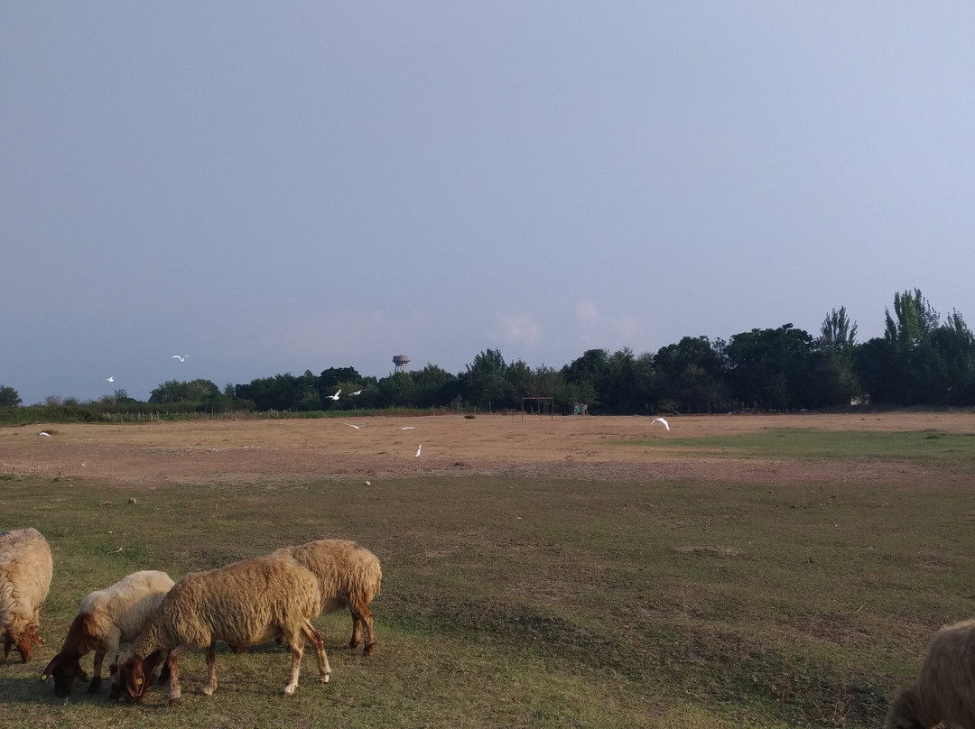 Kirmitli Bird Sanctuary-Osmaniye必去景点