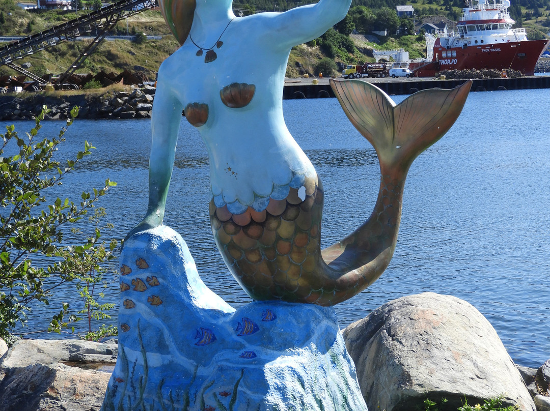 Bay Bulls (Bull Head)-Bay Bulls必去景点