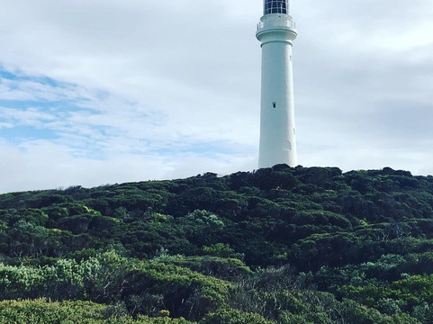 Melbourne Unique Tours-墨尔本必去景点
