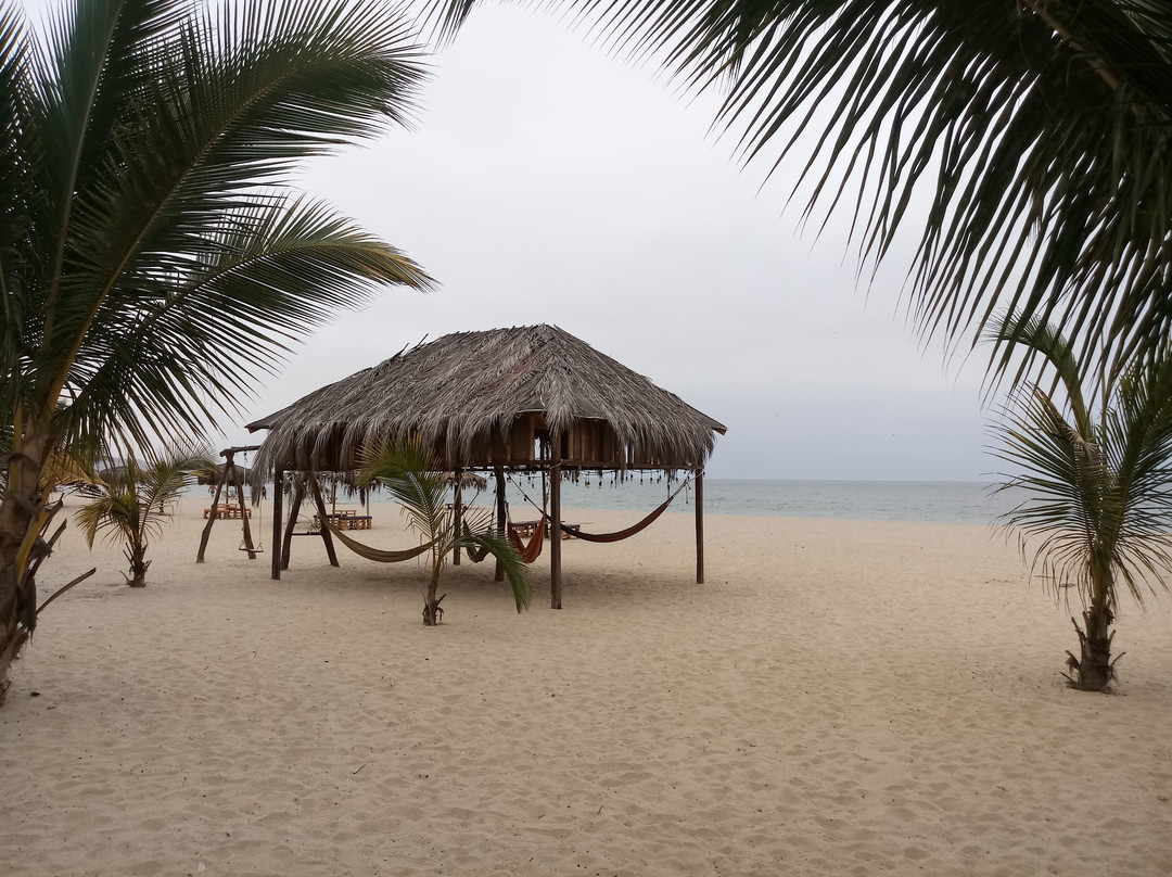 Nauti-k Beach Hotel主图