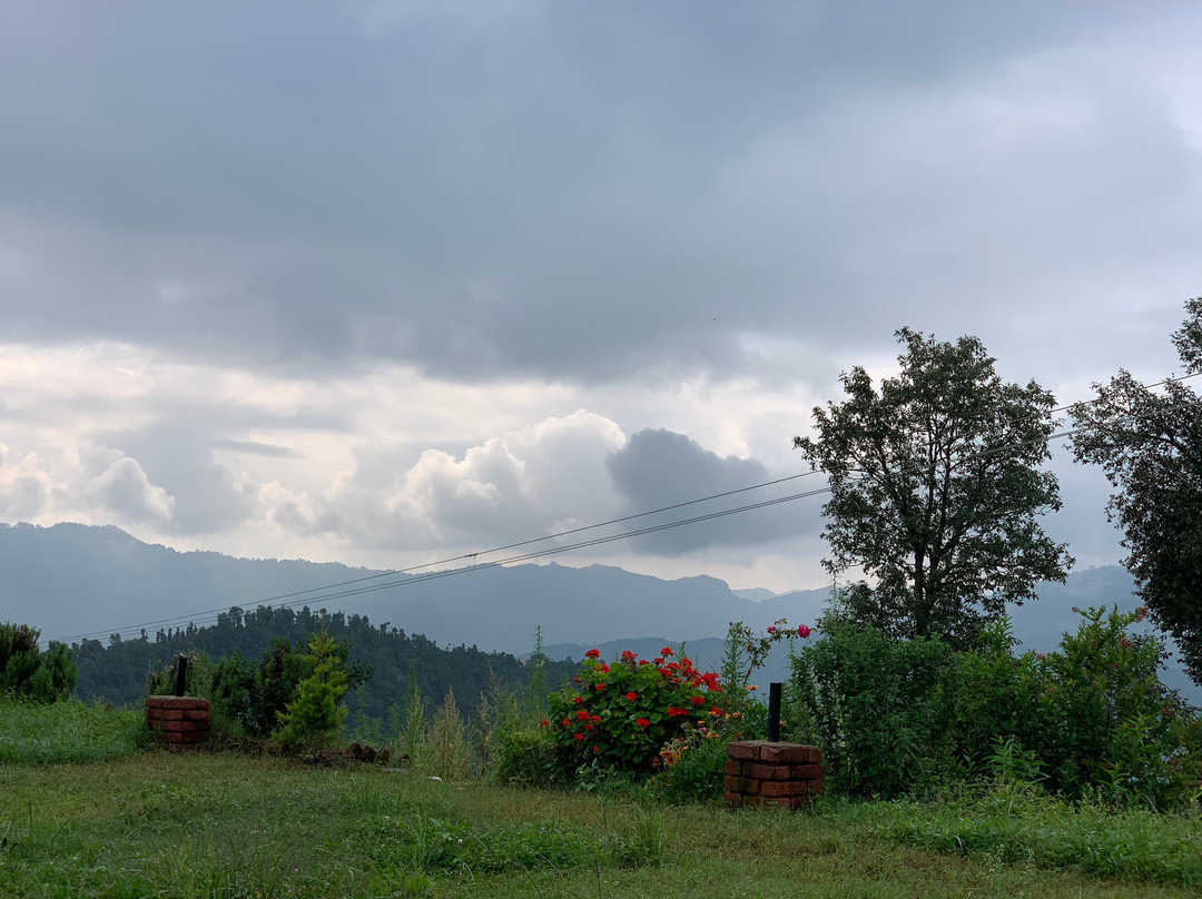 Homfortable Loshgyani主图