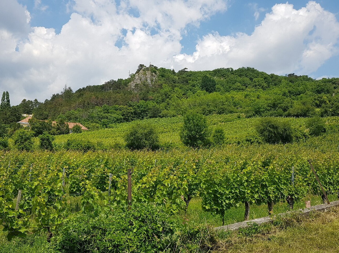 Weingut Rotes Mäuerl景点图片