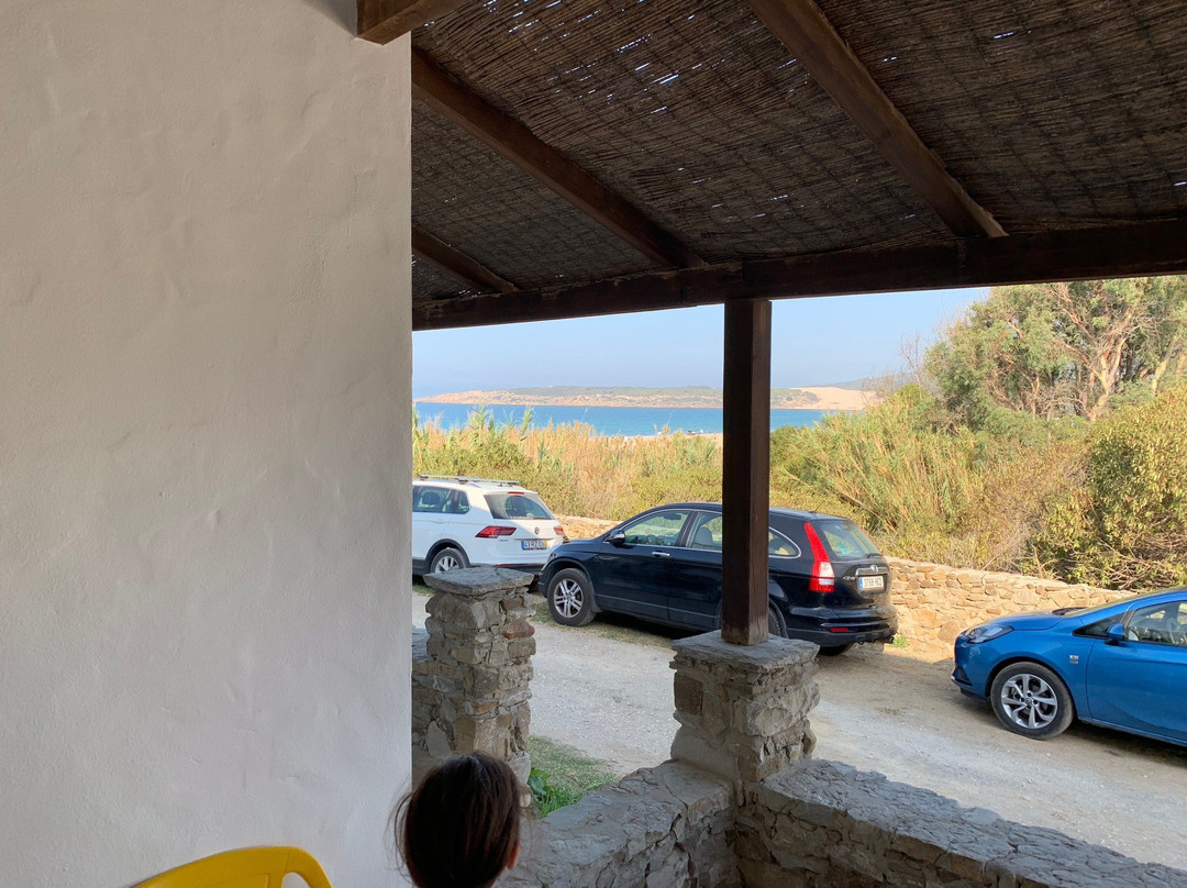 Hostal La Hormiga Voladora主图