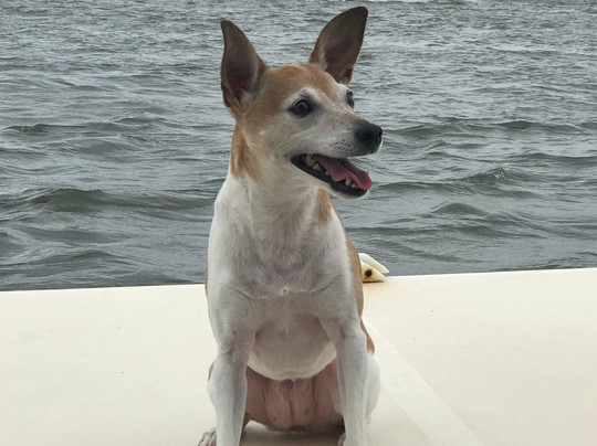 Proud Mary Charters-钦科蒂格岛必去景点