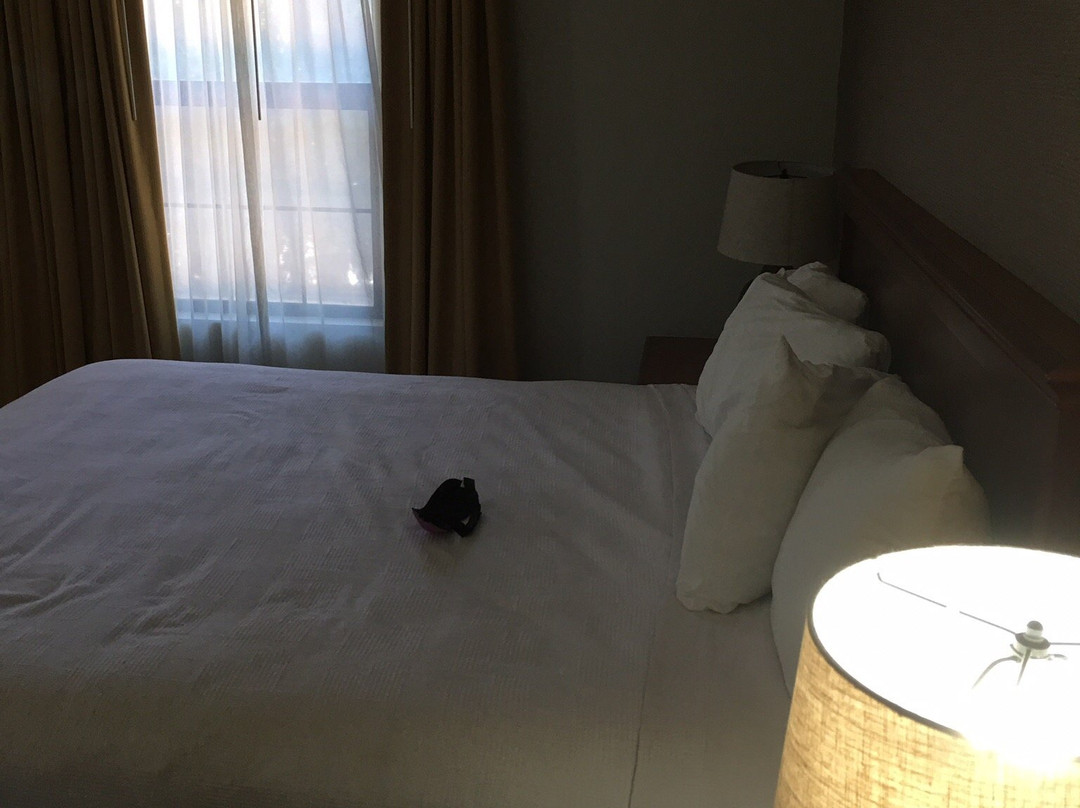 Best Western Stagecoach Inn主图