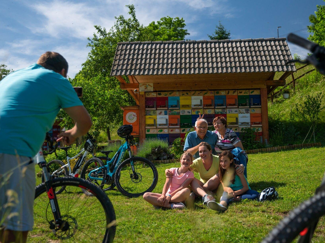 eBike tour Bled-布莱德必去景点