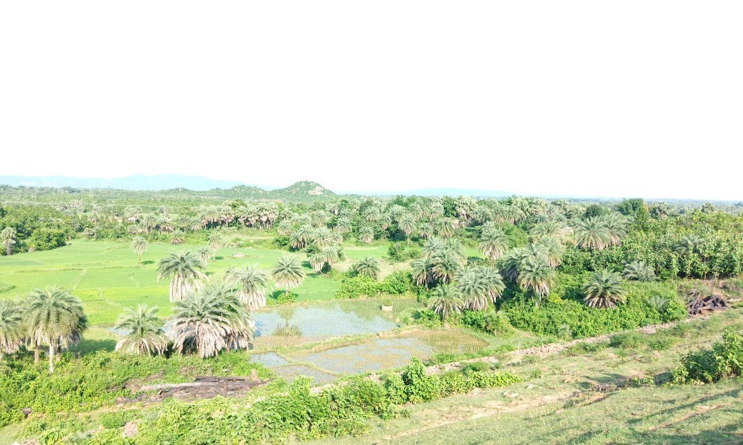 Kairabani Dam景点图片