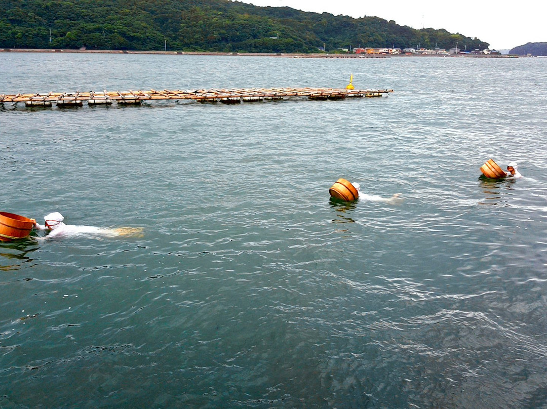 Mikimoto Pearl Island景点图片