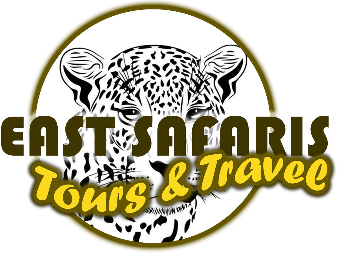 East Safari Tours景点图片