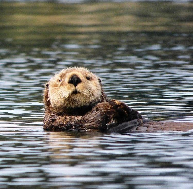 Across the Bay Tent and Breakfast主图