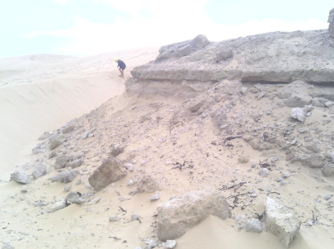 Guided Marine Tours - Port Elizabeth, South Africa-伊丽莎白港必去景点