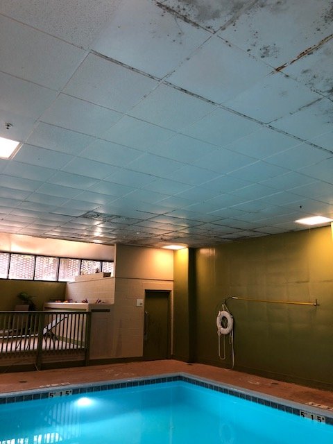 Holiday Inn Cleveland-Mayfield, an IHG hotel-泳池
