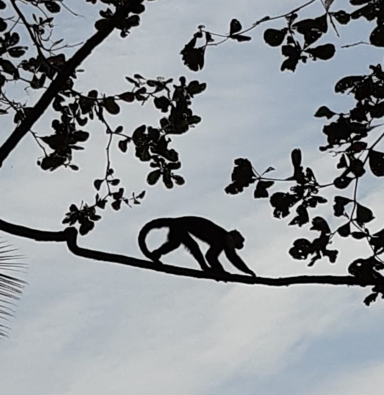 Ciudad Perdida Eco Lodge主图