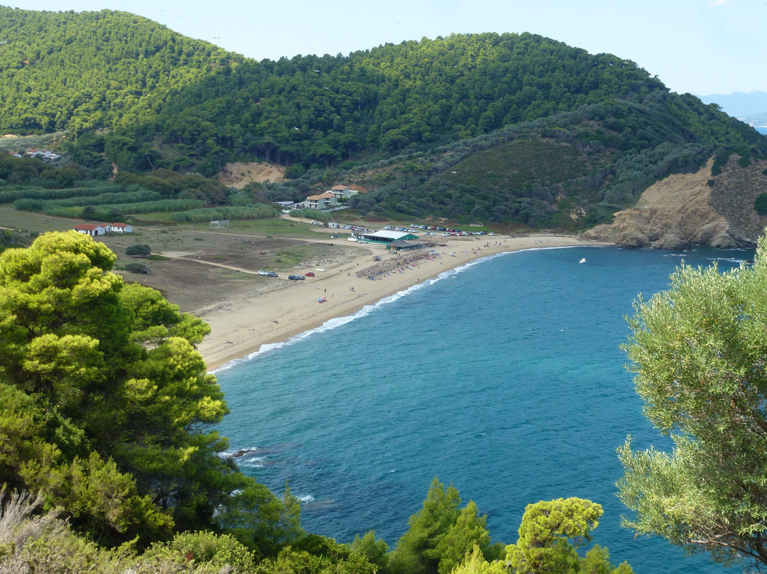 Filia Studios & Apartments主图