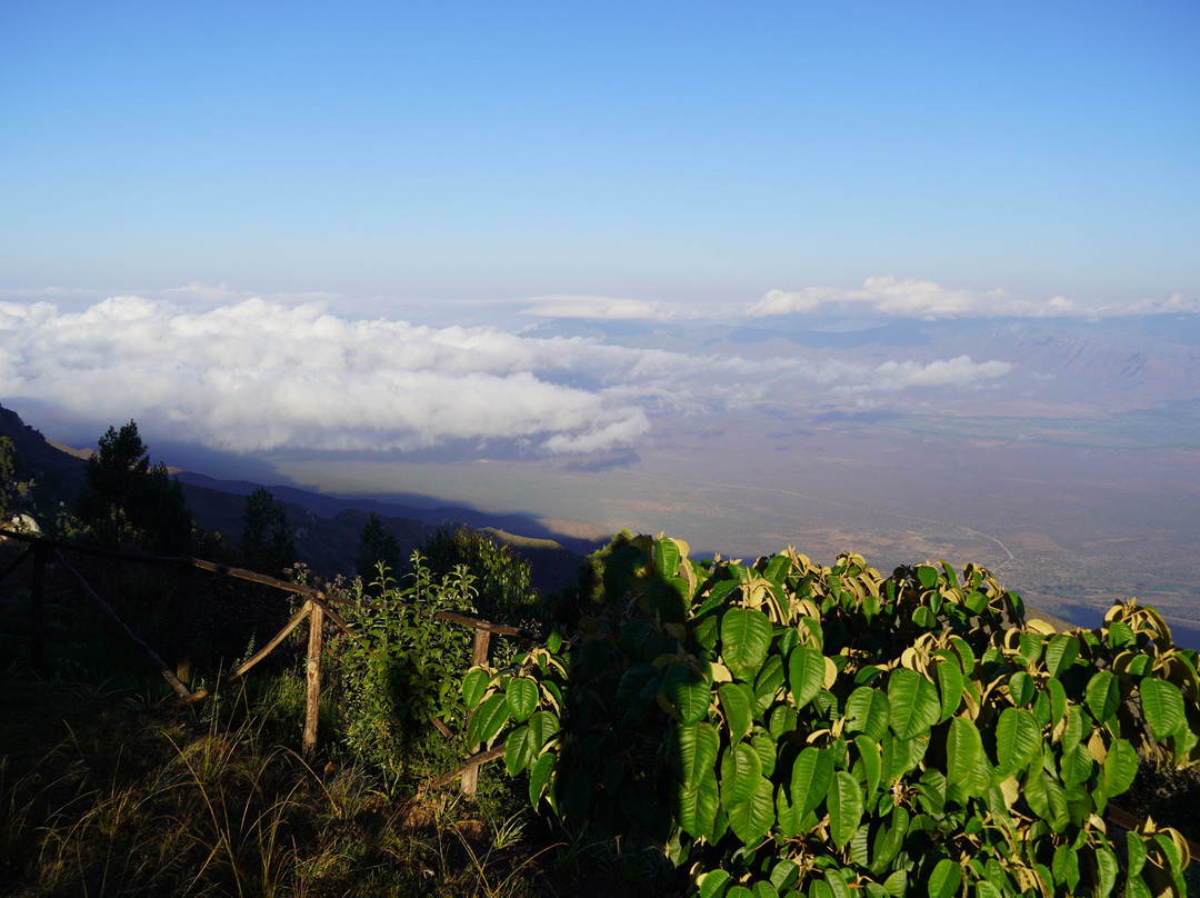 MamboViewPoint主图