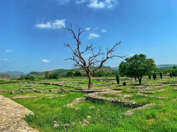 塔克西拉-Taxila必去景点