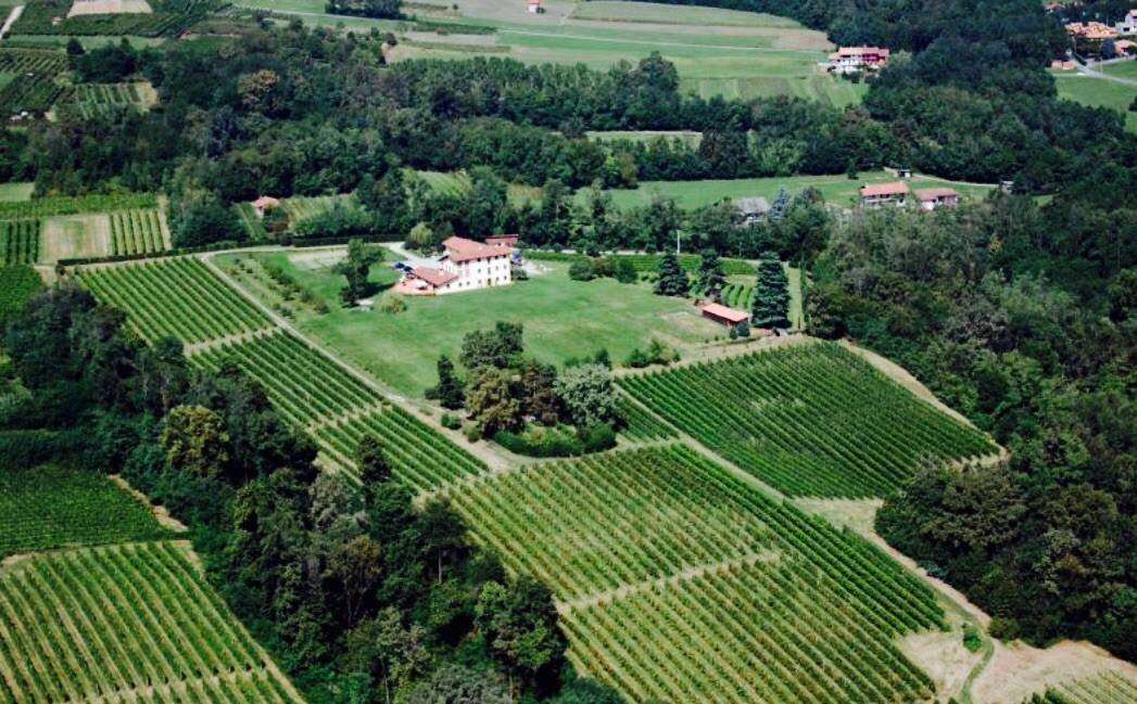 Azienda vitivinicola Il Roccolo di Mezzomerico景点图片