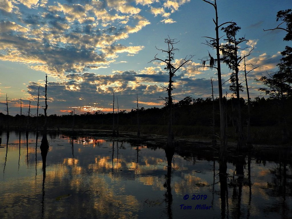 Black Bayou Lake National Wildlife Refuge景点图片