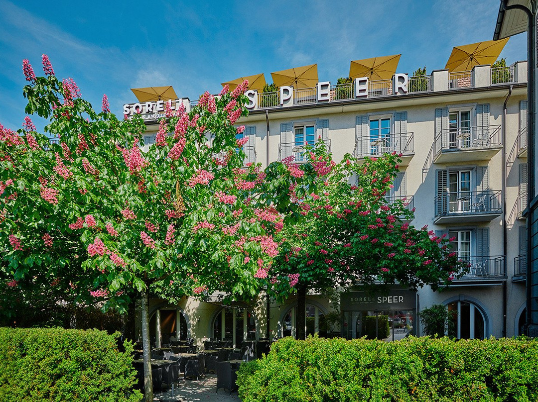 Sorell Hotel Speer主图