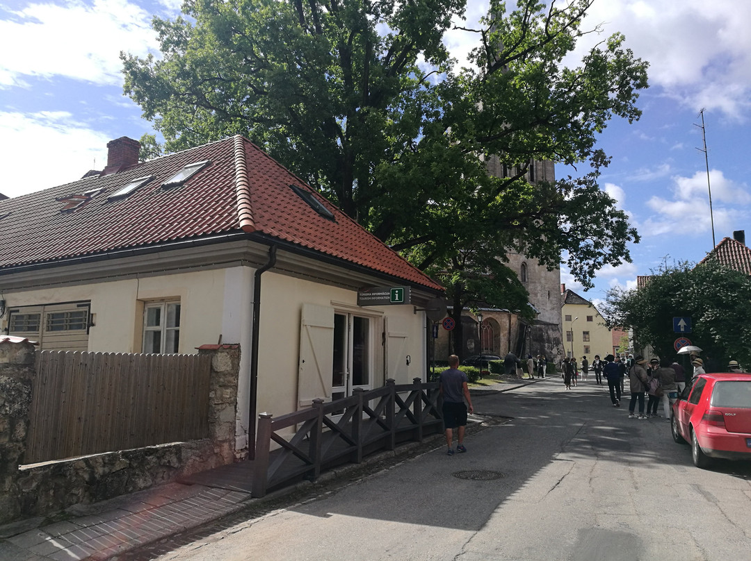 Cesu Turisma Informacijas Centrs